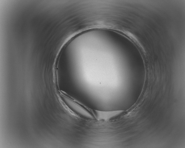 X0000062911238200601271731