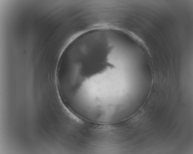 X0000062911239200601271731