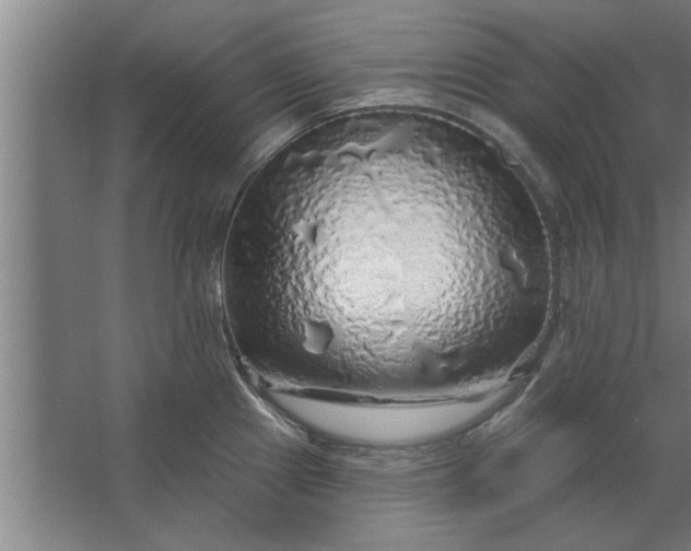 X0000062911241200601271731