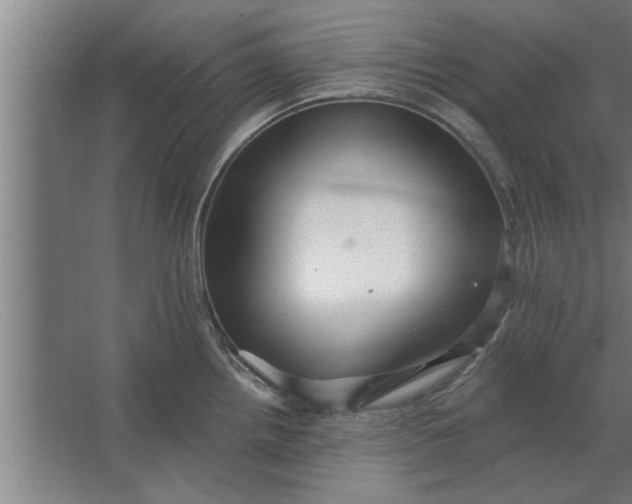 X0000062911242200601271731