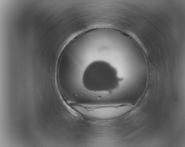 X0000062911245200601271731