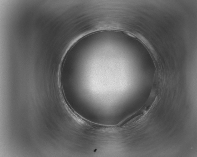 X0000062911246200601271731