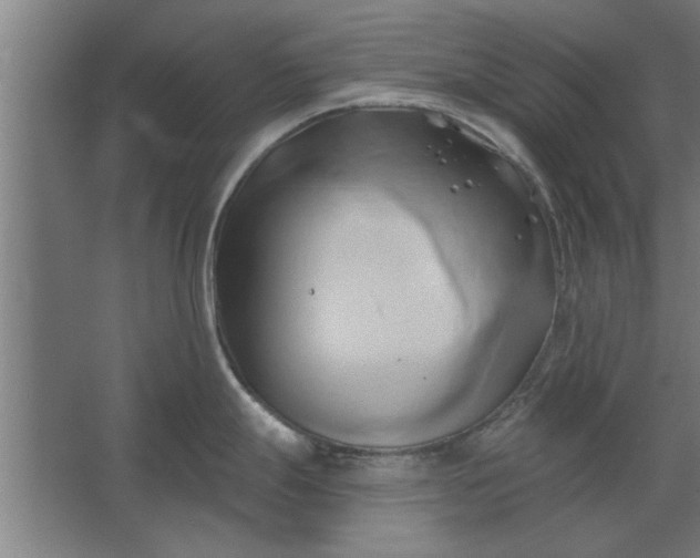 X0000062911247200601271731