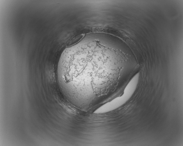 X0000062911252200601271730