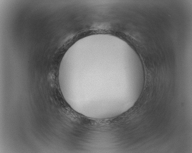 X0000062911254200601271730