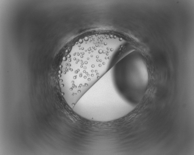 X0000062911255200601271730