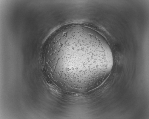 X0000062911256200601271730