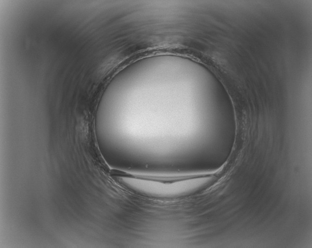 X0000062911257200601271730