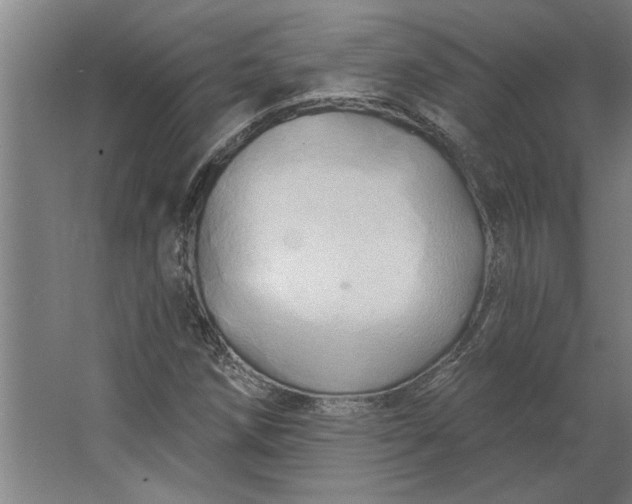 X0000062911258200601271730