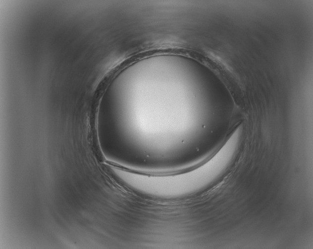 X0000062911261200601271730