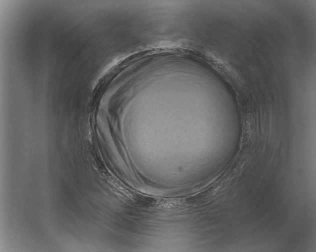 X0000062911262200601271730