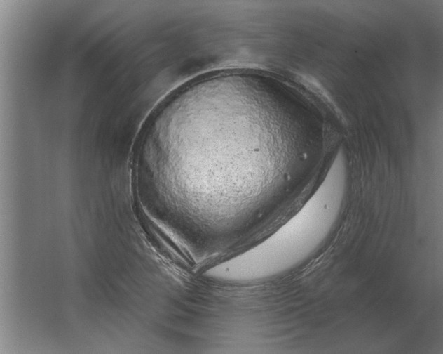 X0000062911268200601271730