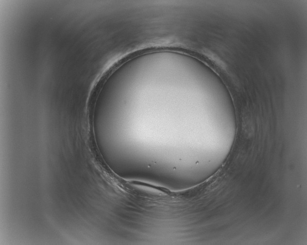 X0000062911270200601271730