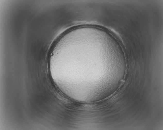 X0000062911271200601271730