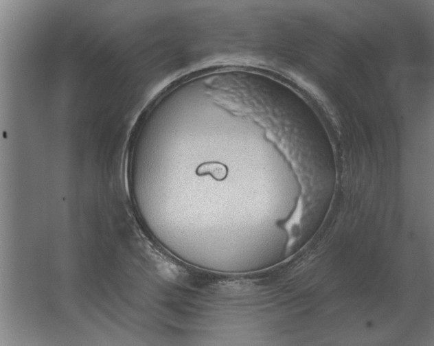 X0000062911272200601271730