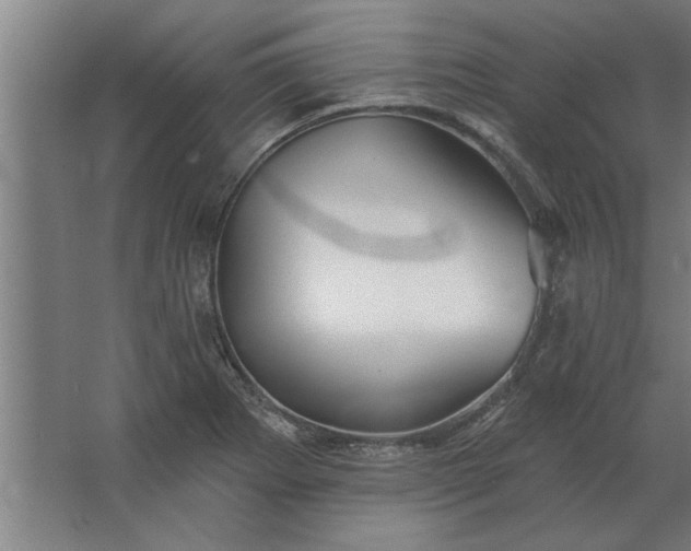 X0000062911273200601271730