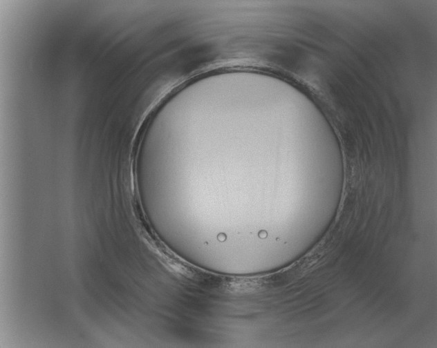 X0000062911274200601271730