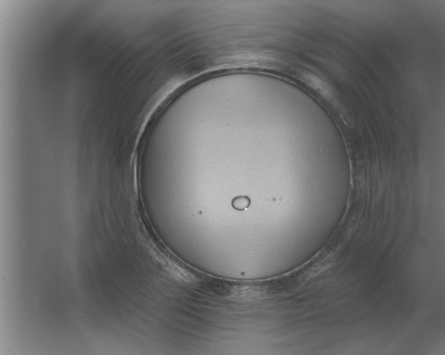 X0000062911275200601271730