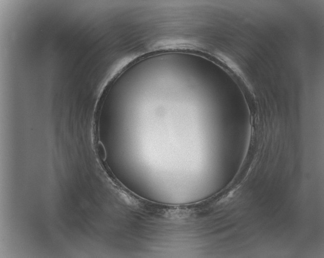 X0000062911277200601271730