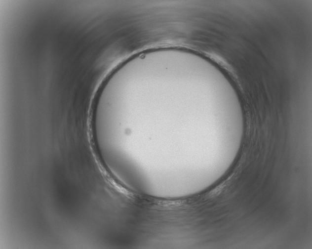 X0000062911278200601271730