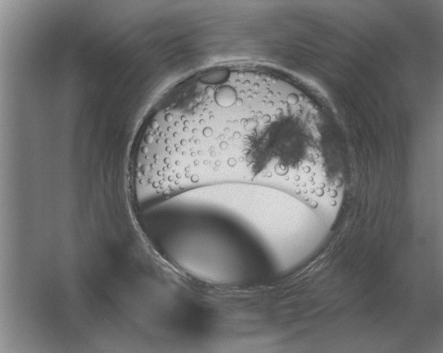 X0000062911279200601271730