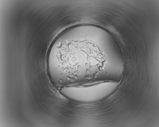 X0000062911280200601271730