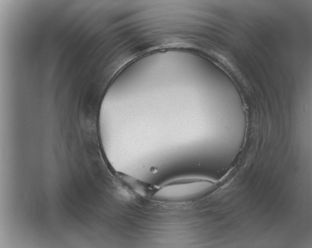 X0000062911281200601271730