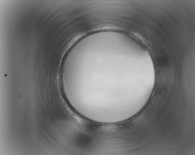 X0000062911282200601271730