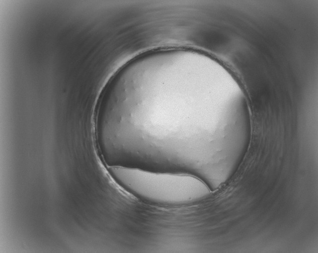 X0000062911287200601271730