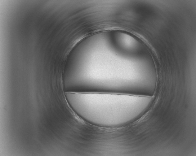 X0000062911289200601271730