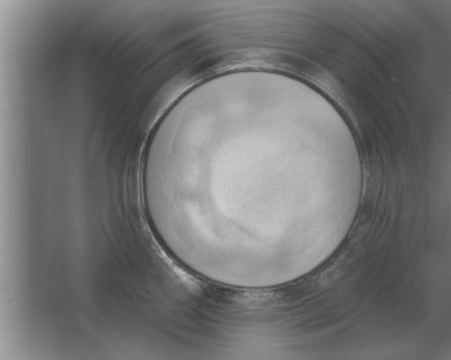 X0000062911290200601271730