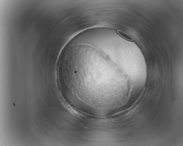 X0000062911292200601271730