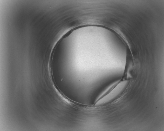 X0000062911293200601271730