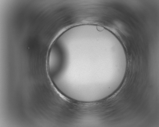 X0000062911294200601271730