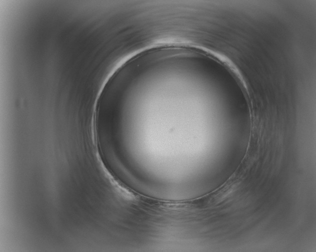 X0000062911295200601271730