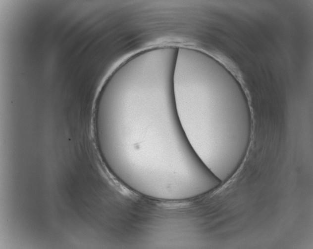 X0000062911296200601271730