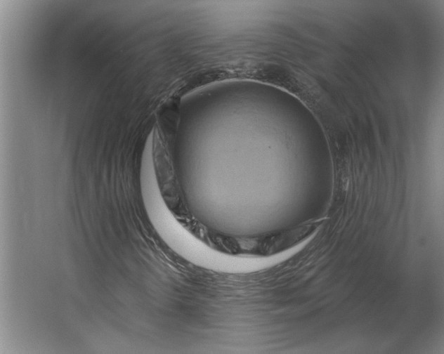 X0000062911298200601271729