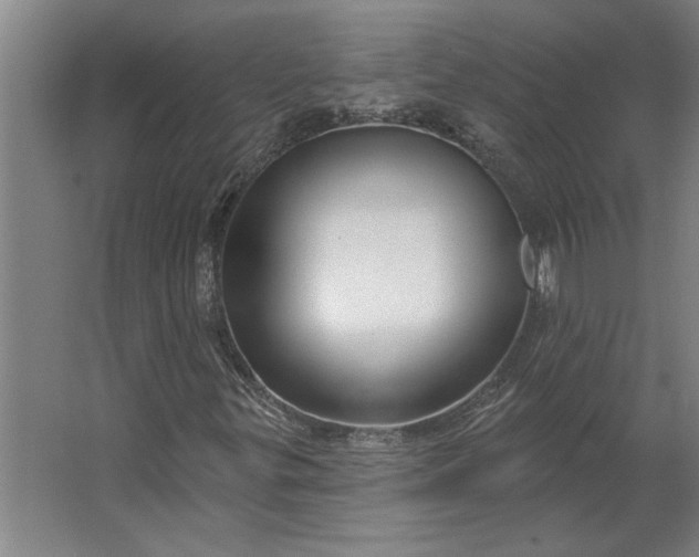 X0000062911299200601271729