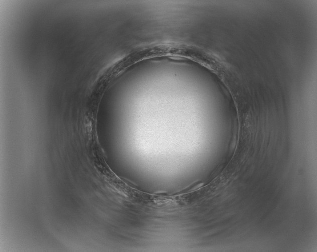 X0000062911302200601271729