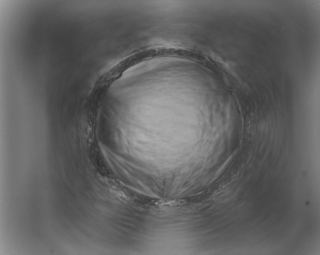 X0000062911303200601271729