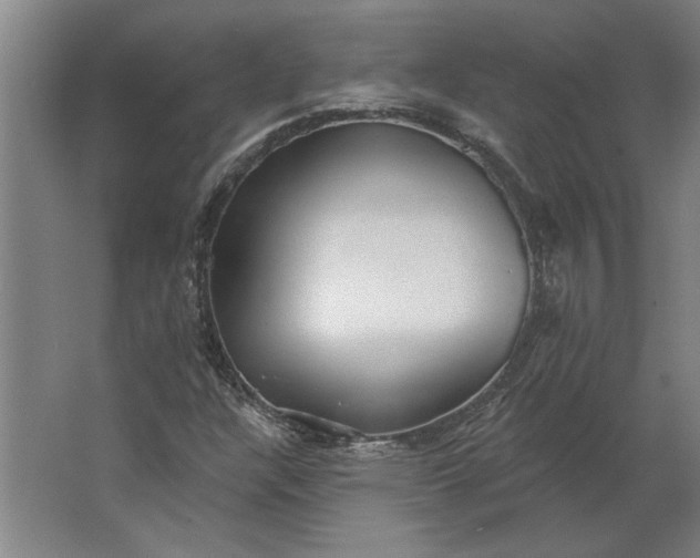 X0000062911304200601271729