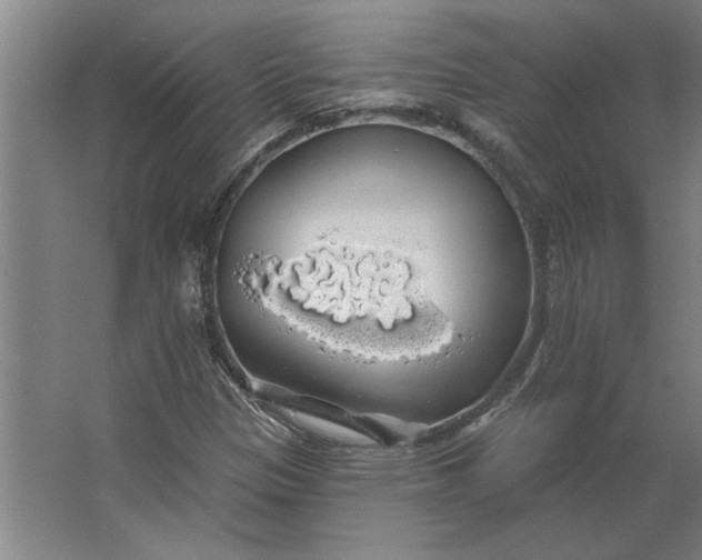 X0000062911305200601271729