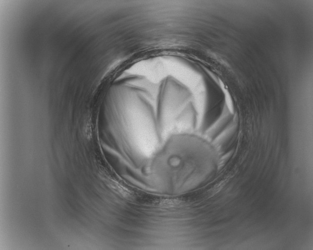 X0000062911306200601271729