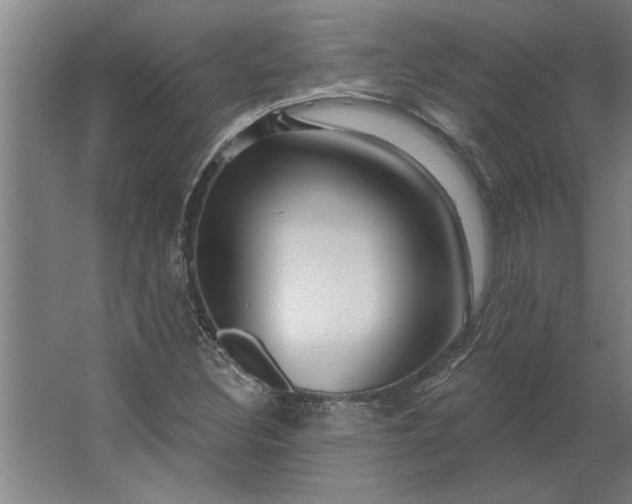 X0000062911308200601271729