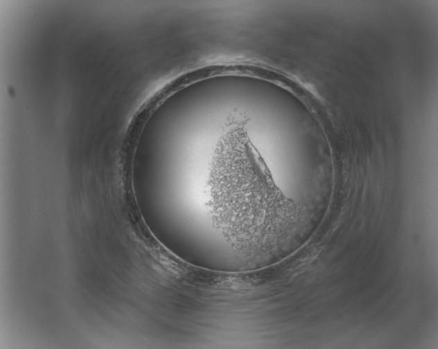 X0000062911311200601271729