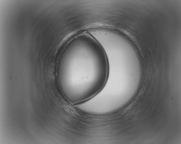 X0000062911314200601271729