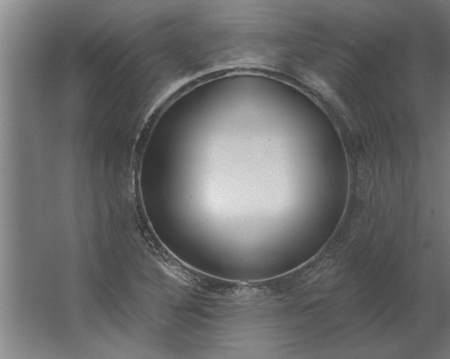 X0000062911316200601271729