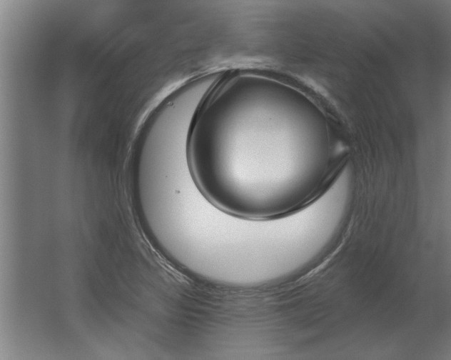 X0000062911317200601271729