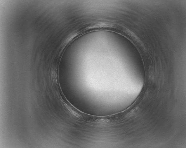 X0000062911321200601271729