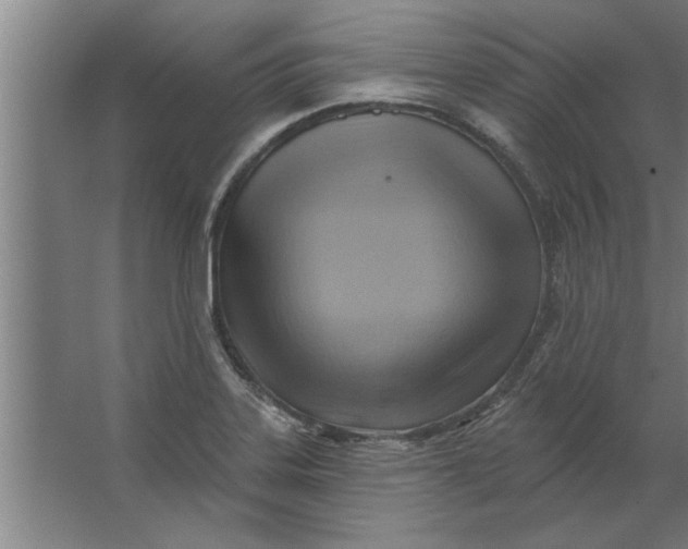 X0000062911323200601271729